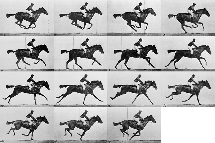 Une sprite sheet de 15 images d'un cheval au galop